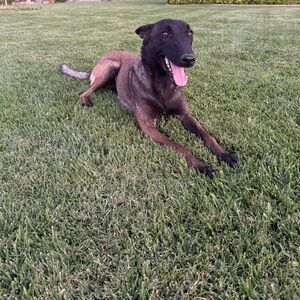 Meet your Posher, Maritza